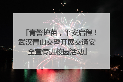 青警护苗，平安启程！武汉青山交警开展交通安全宣传进校园活动